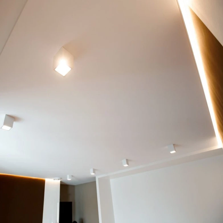 Пример натяжного потолка с полотном D-premium 4078