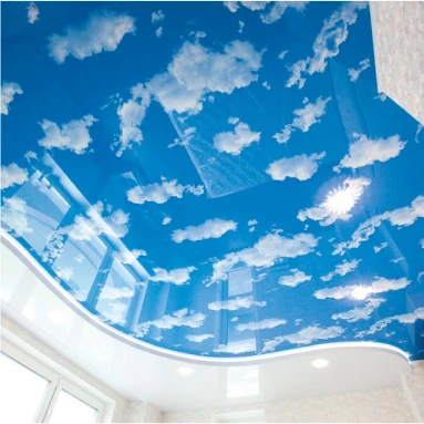 Пример натяжного потолка с фотопечатью 4120