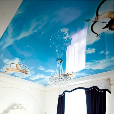 Пример натяжного потолка с фотопечатью 4123