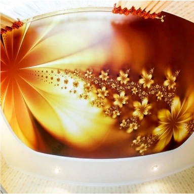 Пример натяжного потолка с фотопечатью 4124