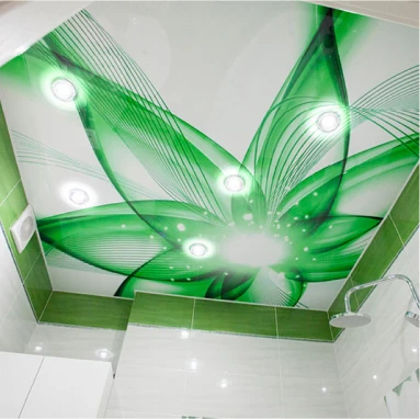 Пример натяжного потолка с фотопечатью 4125