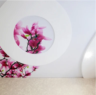 Пример натяжного потолка с фотопечатью 4126