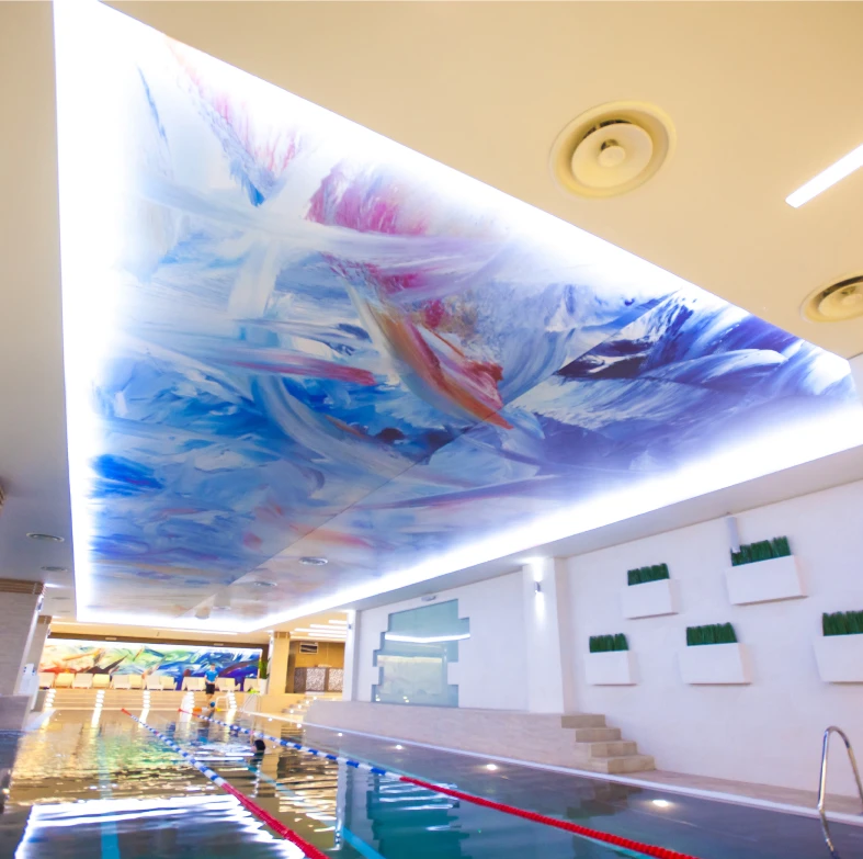 Пример натяжного потолка с фотопечатью 4129