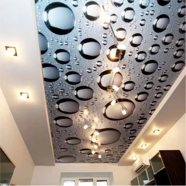 Пример натяжного потолка с фотопечатью 4132