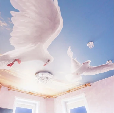 Пример натяжного потолка с фотопечатью 4134