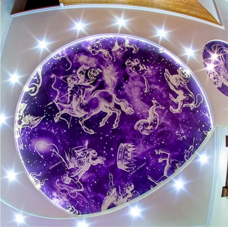 Пример натяжного потолка с фотопечатью 4135