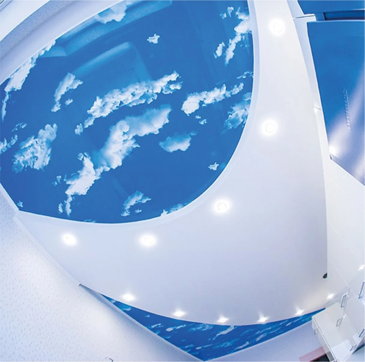 Пример натяжного потолка с фотопечатью 4136