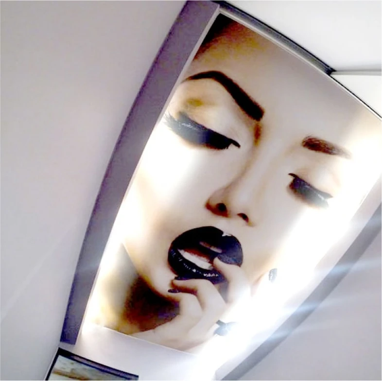 Пример натяжного потолка с фотопечатью 4137