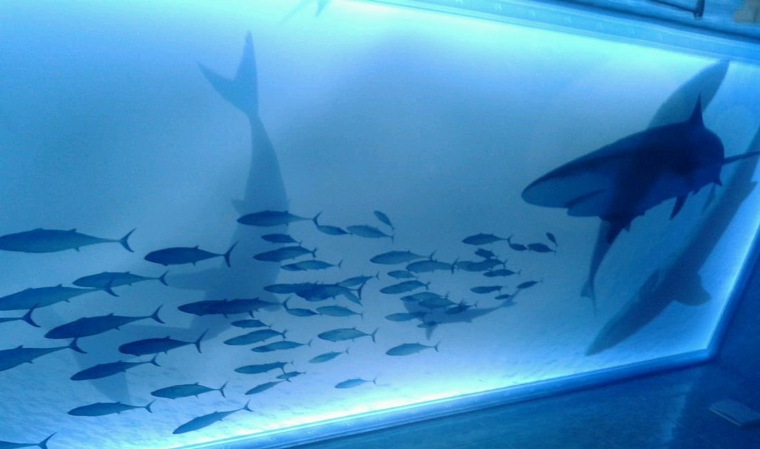 Натяжной потолок 3Д 14